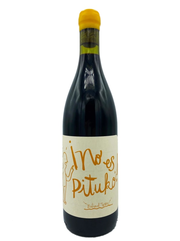 Echeverria No Es Pituko Natural Wine Cabernet Franc 2021 Front Bottle Shot
