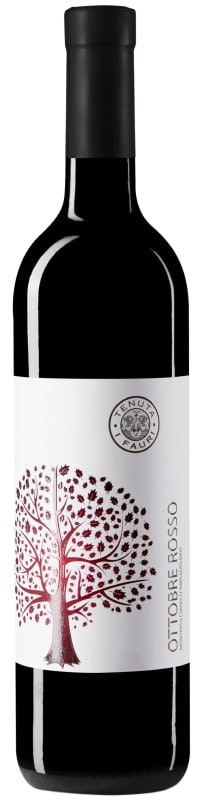 Tenuta I Fauri Montepulciano d'Abruzzo Ottobre 2021 Front Bottle Shot