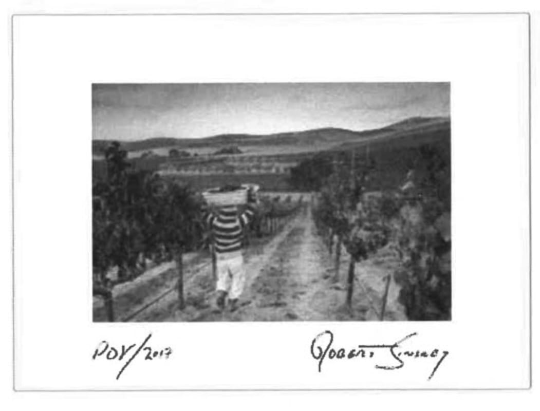 Robert Sinskey Point of View 2017 Front Label