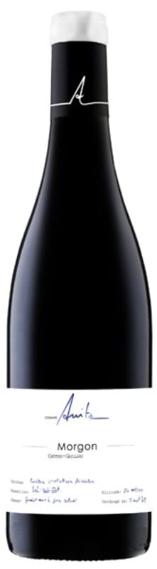 Domaine Anita Morgon Chateau-Gaillard 2021 Front Bottle Shot
