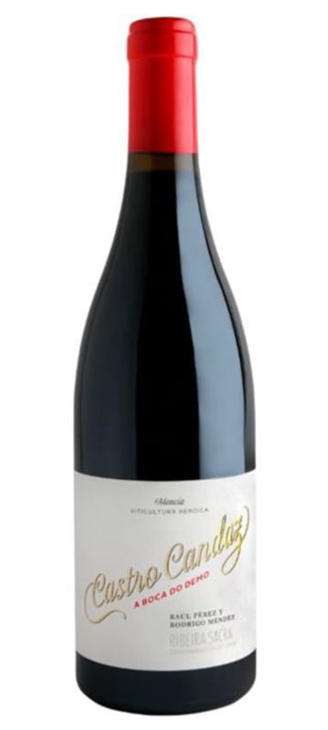Bodegas Raul Perez Castro Candaz A Boca do Demo Tinto 2018 Front Bottle Shot