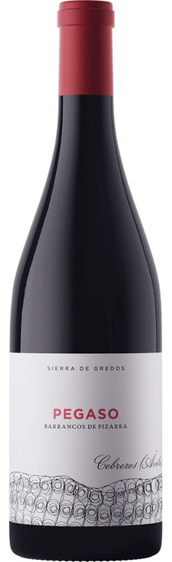 Pegaso Cebreros Barrancos de Pizarra Garnacha 2021 Front Bottle Shot
