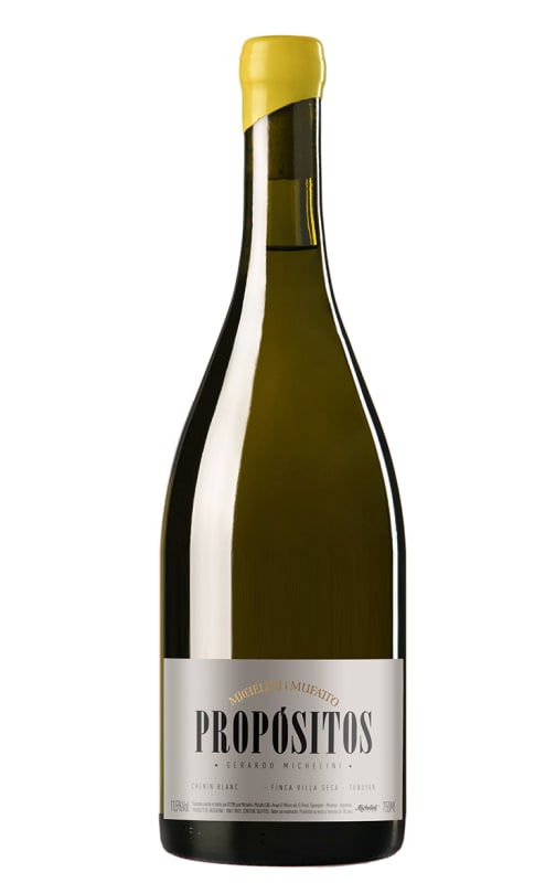 Michelini I Mufatto Propositos Chenin Blanc 2017 Front Bottle Shot