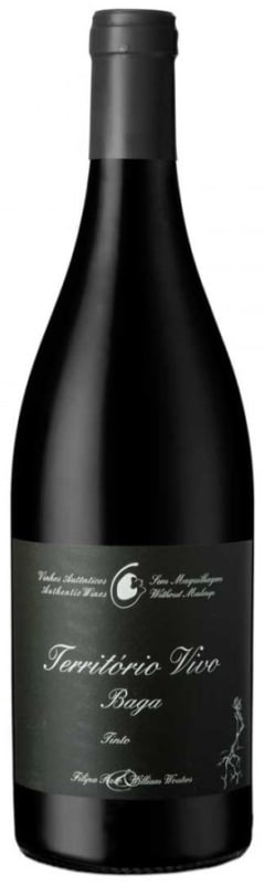 Filipa Pato Territorio Vivo Baga Tinto 2016 Front Bottle Shot