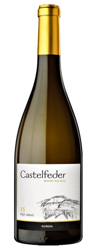 Castelfeder Castelfeder 15 Pinot Grigio 2016 Front Bottle Shot