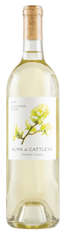 Alma de Cattleya Sauvignon Blanc 2020 Front Bottle Shot