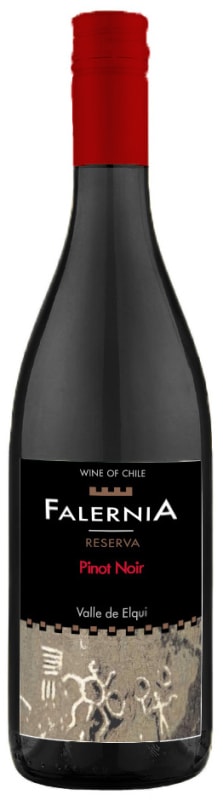 Falernia Reserva Pinot Noir 2013 Front Bottle Shot