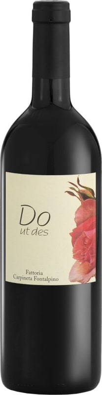 Carpineta Fontalpino Do ut des Toscana 2019 Front Bottle Shot