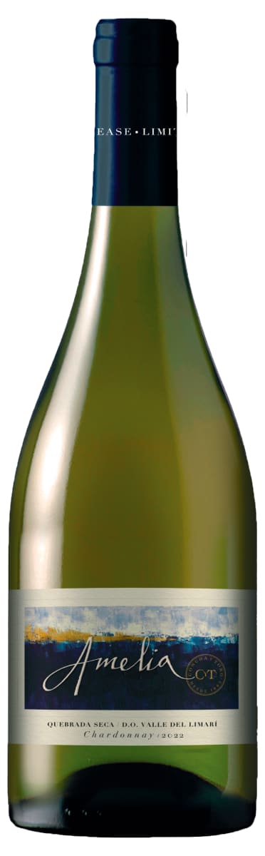 Concha y Toro Amelia Chardonnay 2022 Front Bottle Shot
