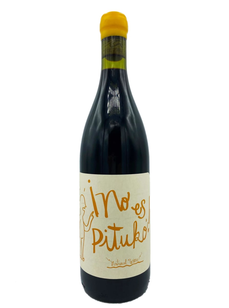 Echeverria No Es Pituko Natural Wine Cabernet Franc 2022 Front Bottle Shot