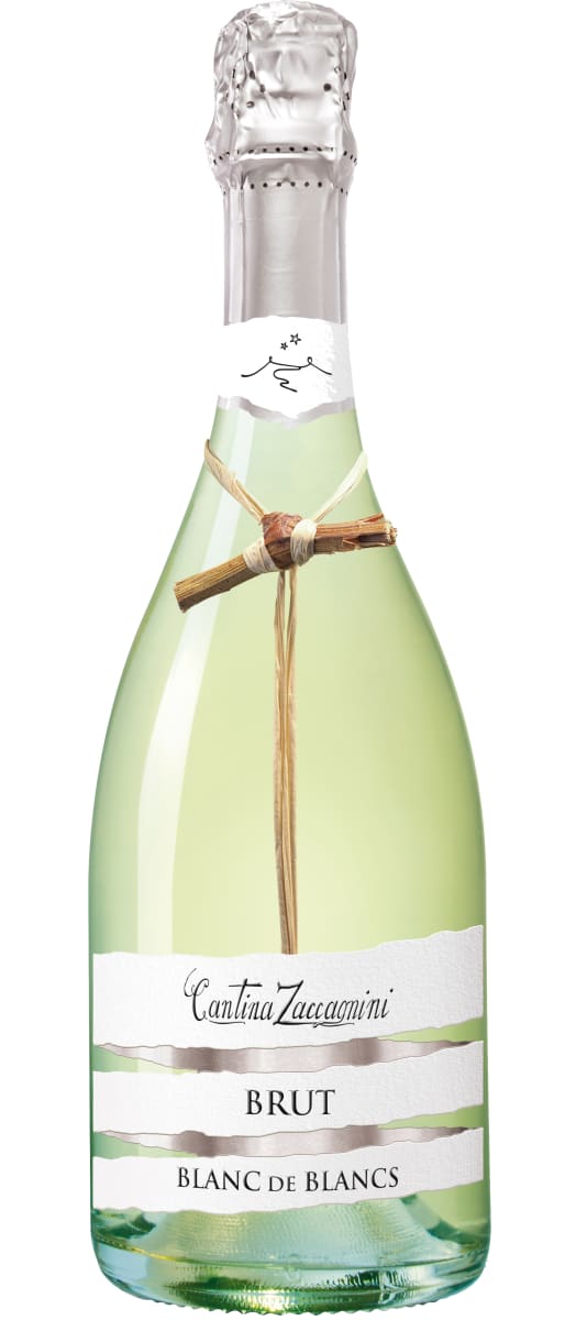 Zaccagnini Blanc de Blancs | Wine.com