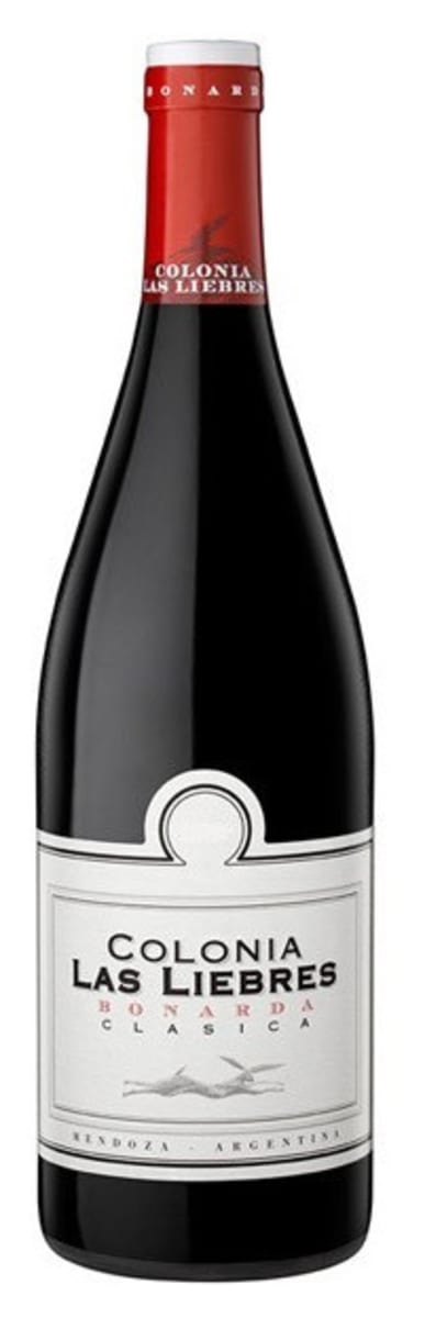 Altos Las Hormigas Colonia Las Liebres Bonarda 2015 Front Bottle Shot