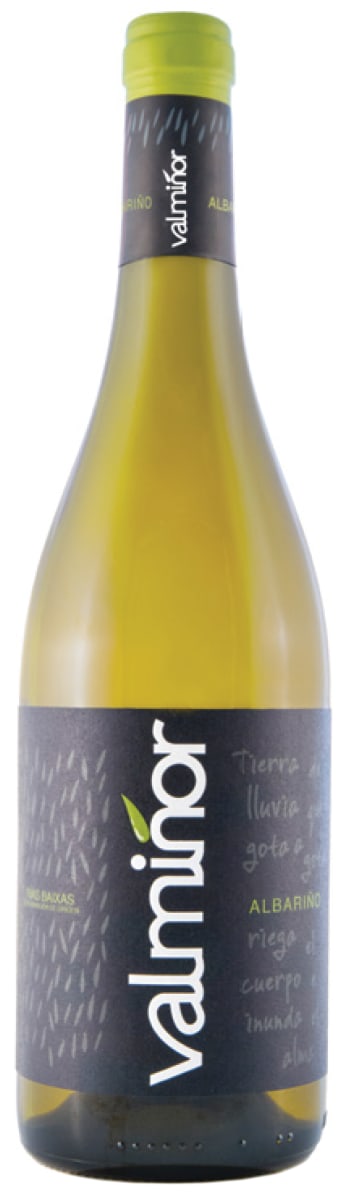 Valminor Rias Baixas Albarino 2019  Front Bottle Shot