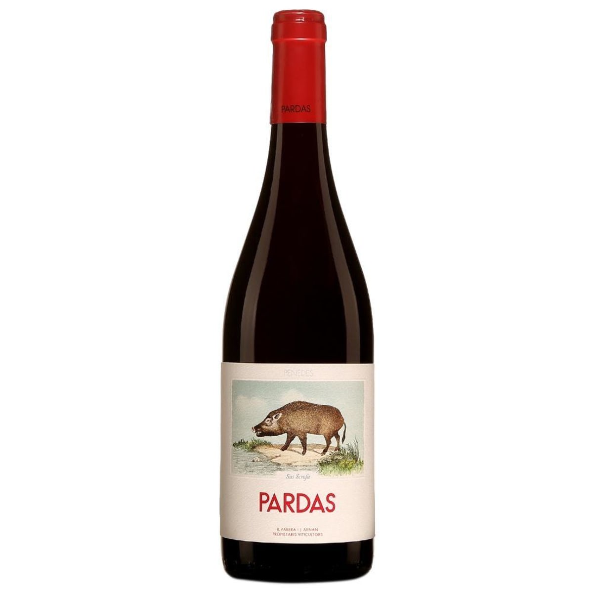 Celler Pardas Sus Scrofa 2022 Front Bottle Shot