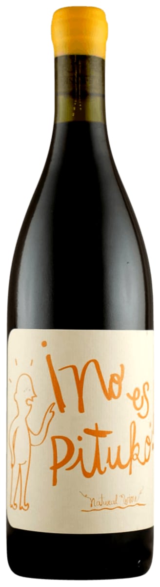Echeverria No Es Pituko Natural Wine Cabernet Franc 2023 Front Bottle Shot