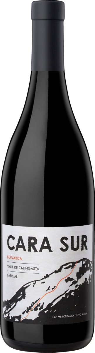 Cara Sur Tinto 2022  Front Bottle Shot