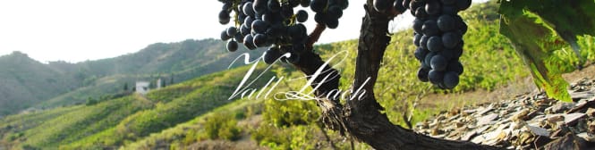 List Page Learn About Content Graphic