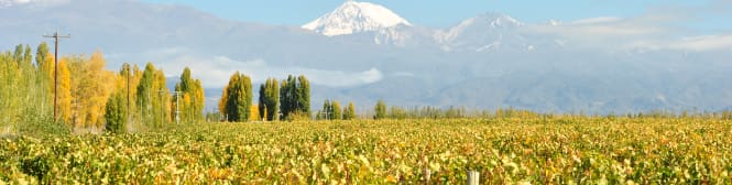 List Page Learn About Content Graphic