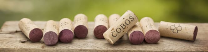 List Page Learn About Content Graphic