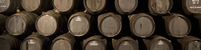 List Page Learn About Content Graphic