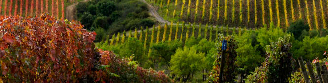 List Page Learn About Content Graphic