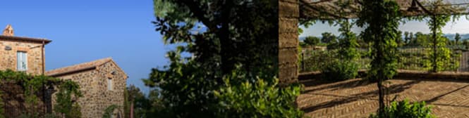 List Page Learn About Content Graphic