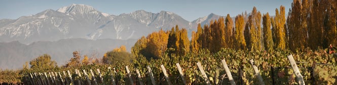 List Page Learn About Content Graphic