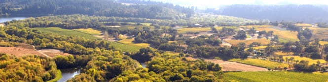 List Page Learn About Content Graphic