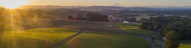 List Page Learn About Content Graphic