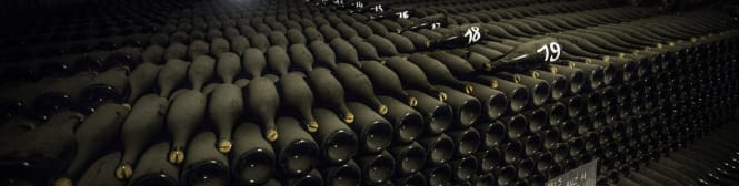 List Page Learn About Content Graphic