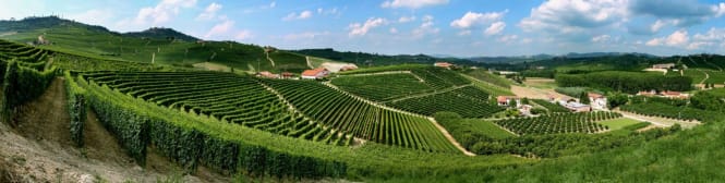 List Page Learn About Content Graphic