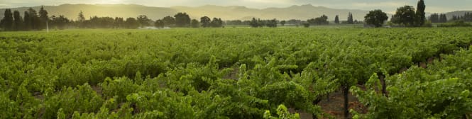 List Page Learn About Content Graphic