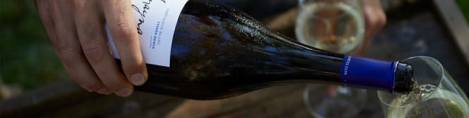 List Page Learn About Content Graphic