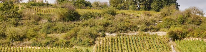 List Page Learn About Content Graphic