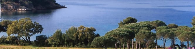 List Page Learn About Content Graphic