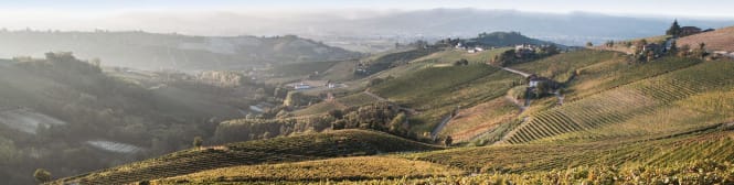 List Page Learn About Content Graphic