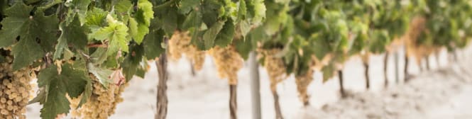 List Page Learn About Content Graphic