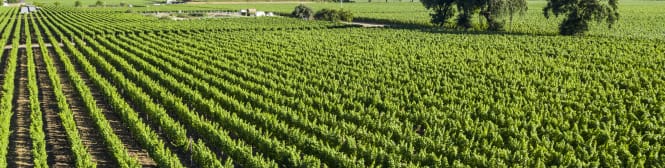 List Page Learn About Content Graphic