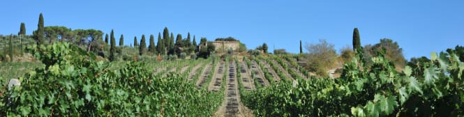 List Page Learn About Content Graphic