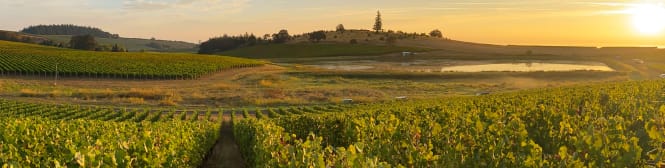 List Page Learn About Content Graphic