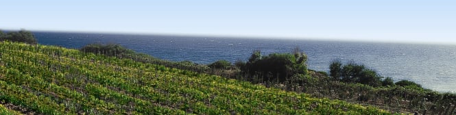 List Page Learn About Content Graphic