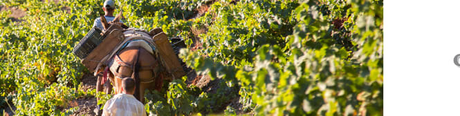 List Page Learn About Content Graphic