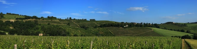 List Page Learn About Content Graphic