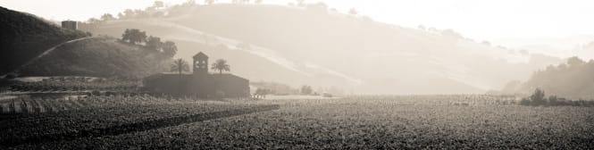 List Page Learn About Content Graphic