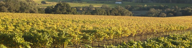 List Page Learn About Content Graphic