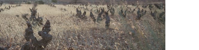 List Page Learn About Content Graphic