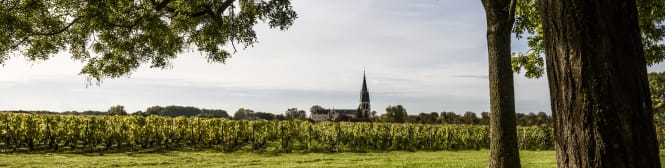 List Page Learn About Content Graphic