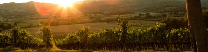 List Page Learn About Content Graphic