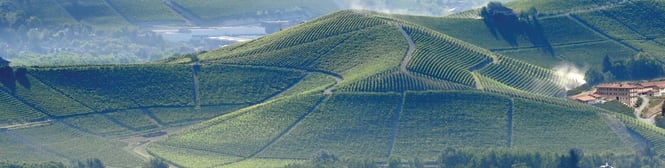 List Page Learn About Content Graphic