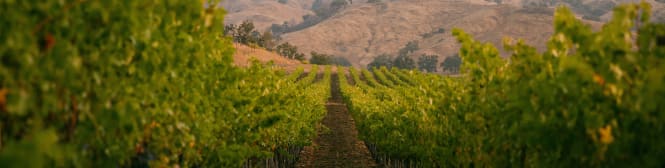 List Page Learn About Content Graphic